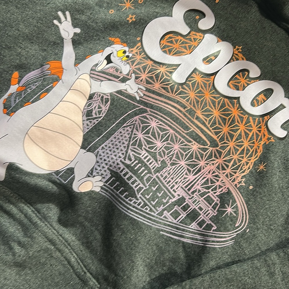 Disney Epcot Pullover Hoodie with Figment Graphic Charcoal Gray Kids Size Large - Picture 11 of 11